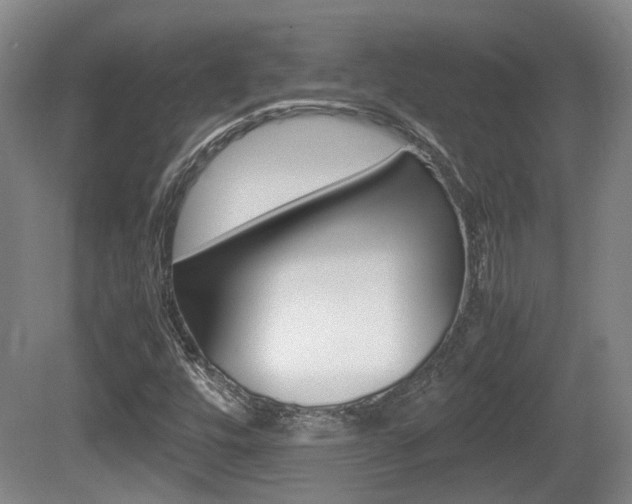X0000080661448200612150723