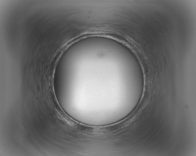 X0000080661449200612150723