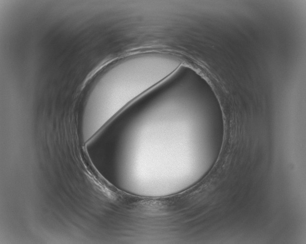 X0000080661450200612150723