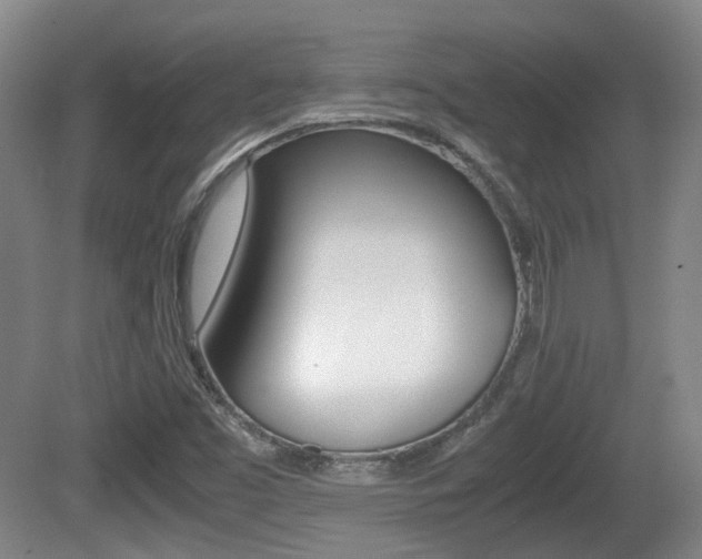 X0000080661453200612150723