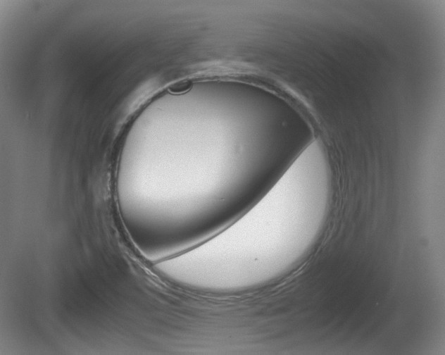 X0000080661459200612150723