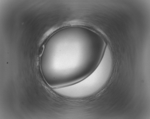 X0000080661461200612150723