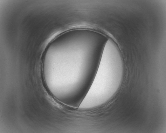 X0000080661463200612150723