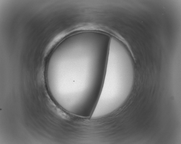 X0000080661464200612150723