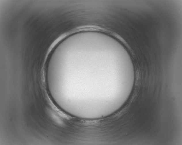 X0000080661466200612150722