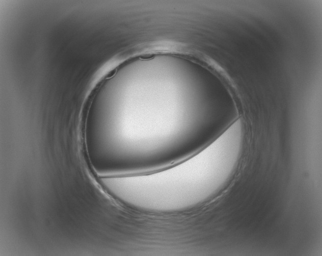 X0000080661469200612150722