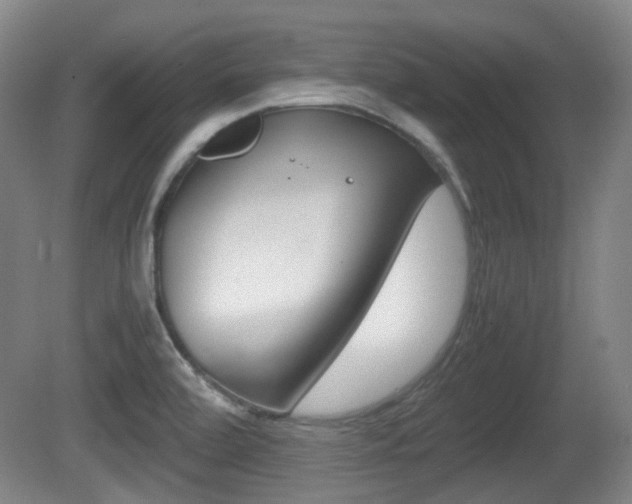 X0000080661472200612150722