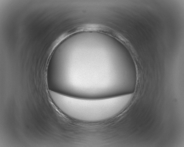 X0000080661473200612150722