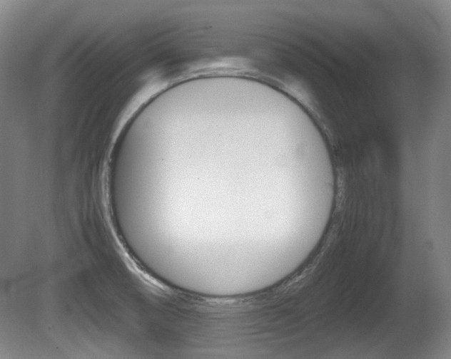 X0000080661474200612150722
