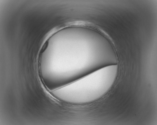 X0000080661475200612150722
