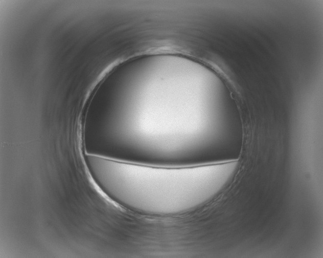 X0000080661476200612150722