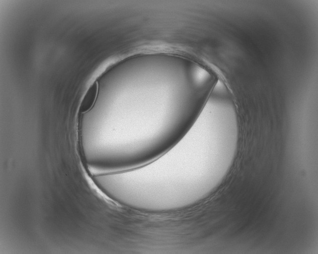X0000080661479200612150722