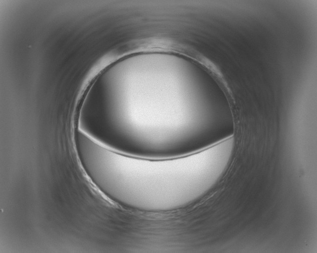 X0000080661480200612150722