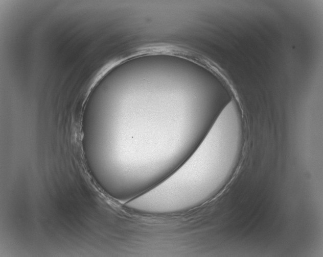 X0000080661481200612150722