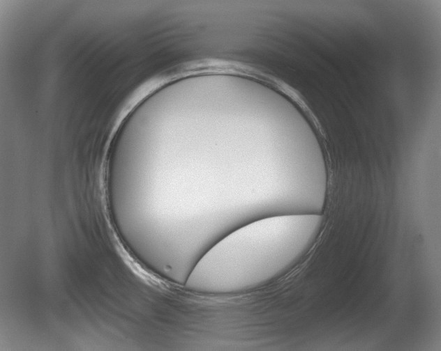 X0000080661482200612150722