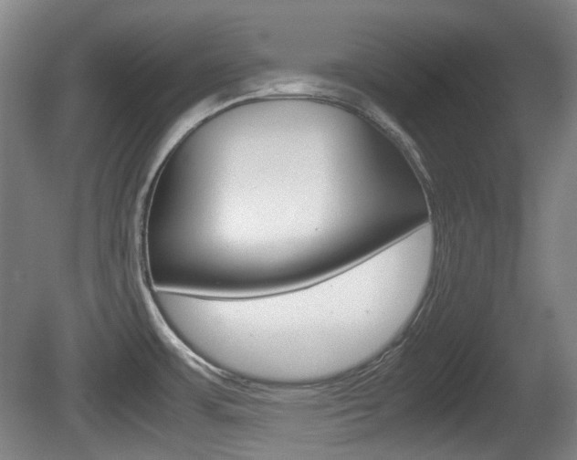 X0000080661483200612150722