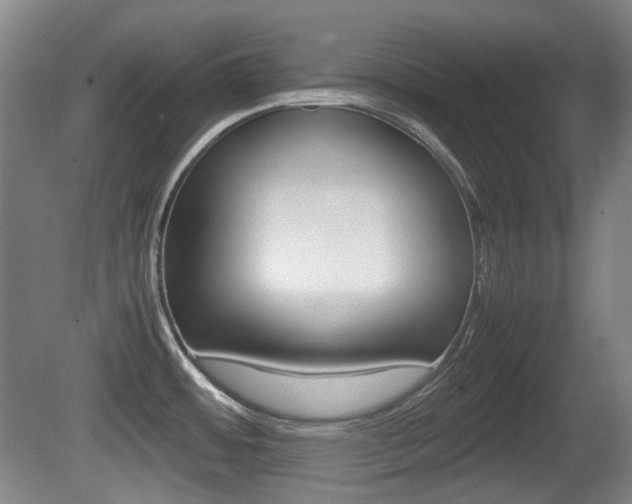 X0000080661484200612150722