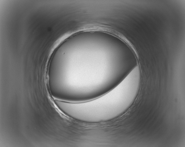 X0000080661485200612150722
