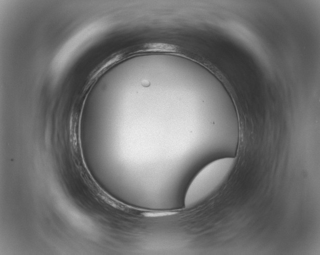 X0000080661487200612150722