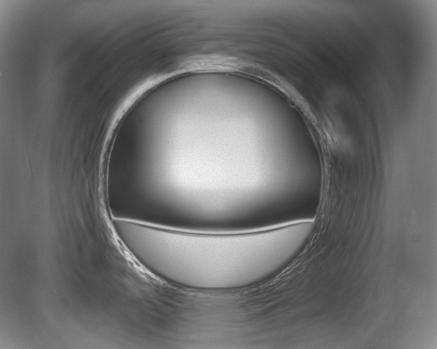 X0000080661488200612150722