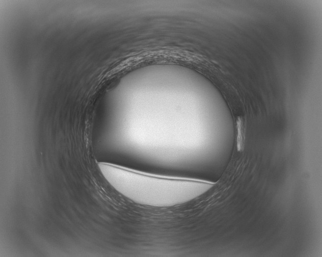 X0000080661491200612150721