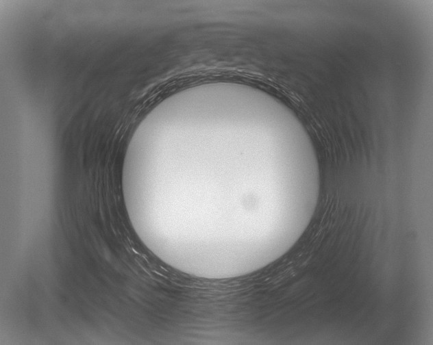 X0000080661492200612150721