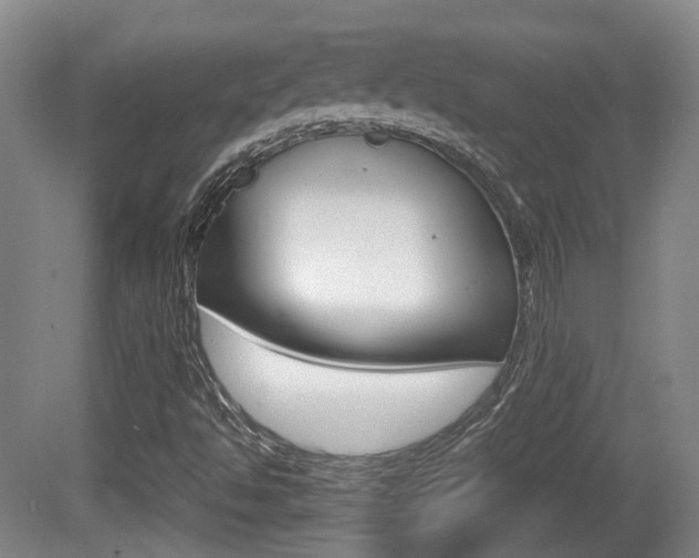 X0000080661494200612150721