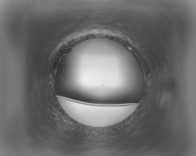 X0000080661495200612150721