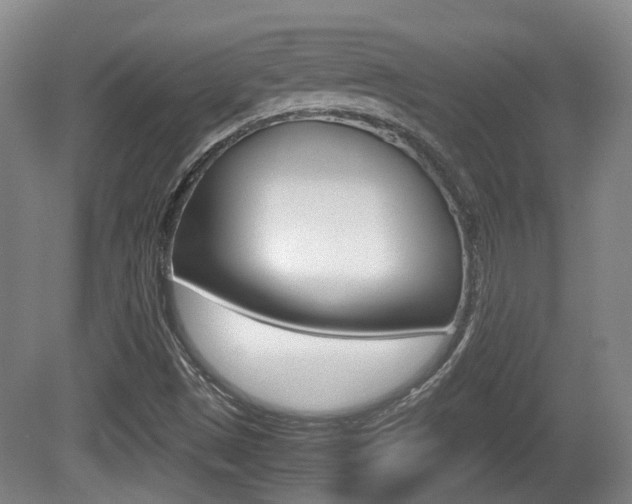 X0000080661497200612150721