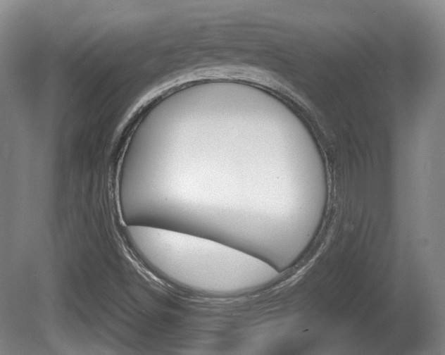 X0000080661498200612150721