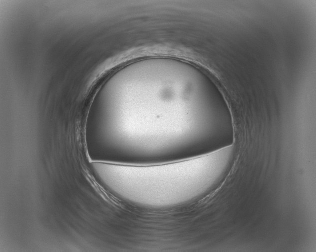 X0000080661499200612150721