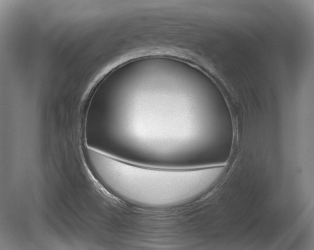 X0000080661500200612150722
