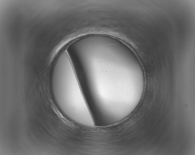 X0000080661503200612150722