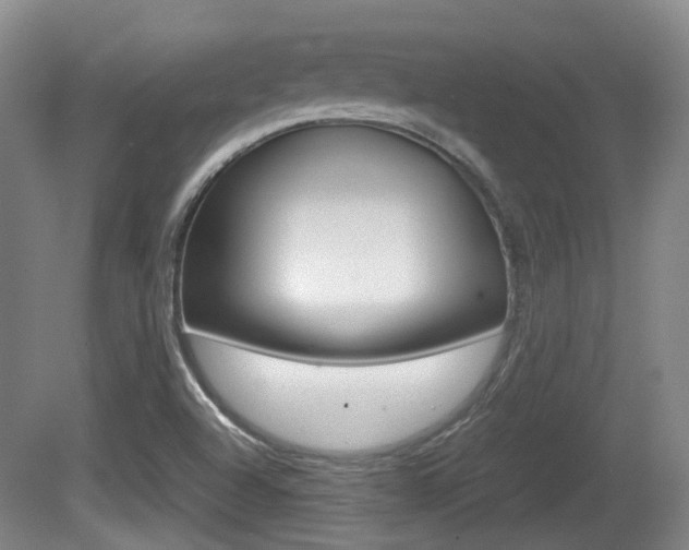 X0000080661504200612150722
