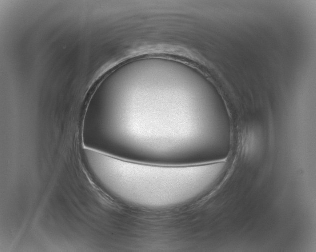 X0000080661505200612150722