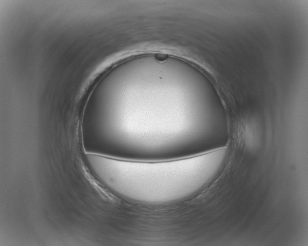 X0000080661507200612150722