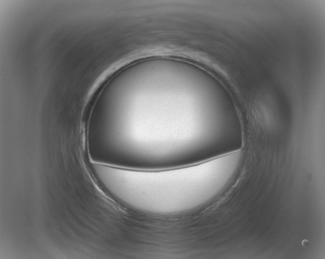 X0000080661509200612150722