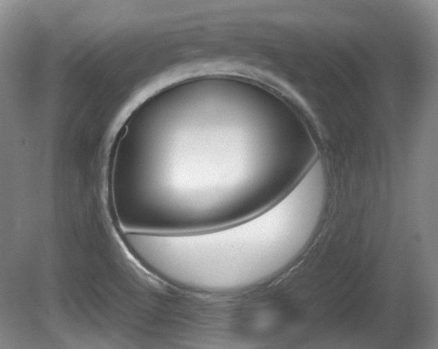 X0000080661512200612150722