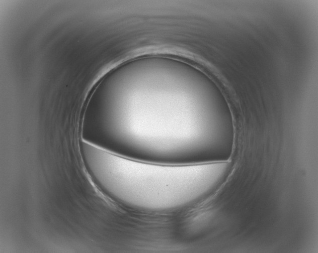 X0000080661513200612150722