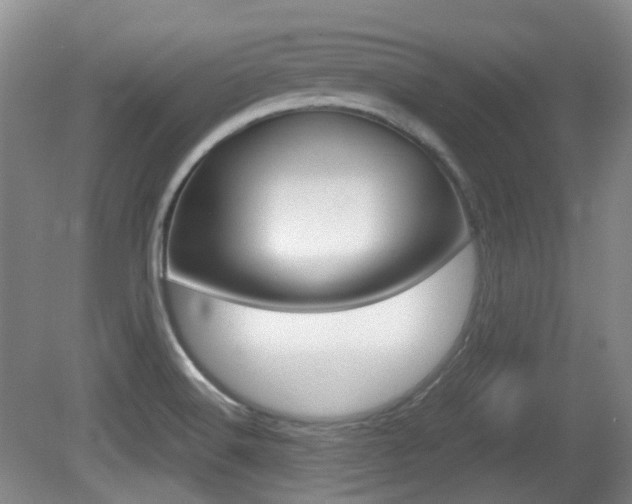 X0000080661516200612150722