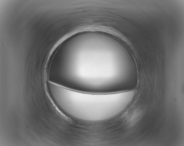 X0000080661517200612150722