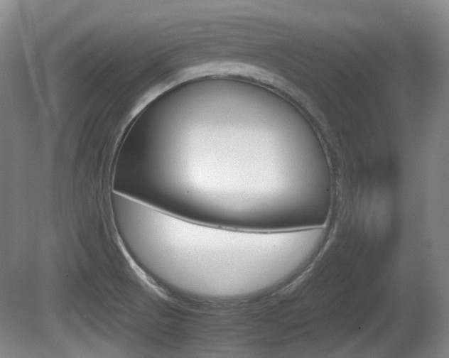 X0000080661521200612150722