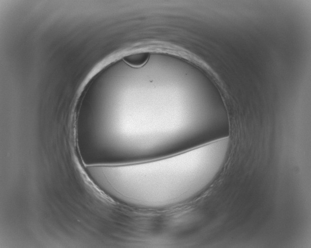 X0000080661522200612150722