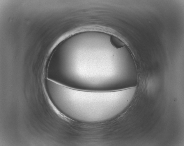 X0000080661523200612150722