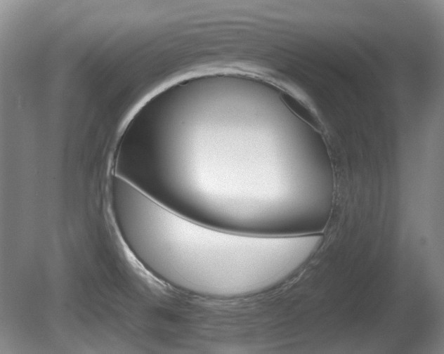 X0000080661524200612150722