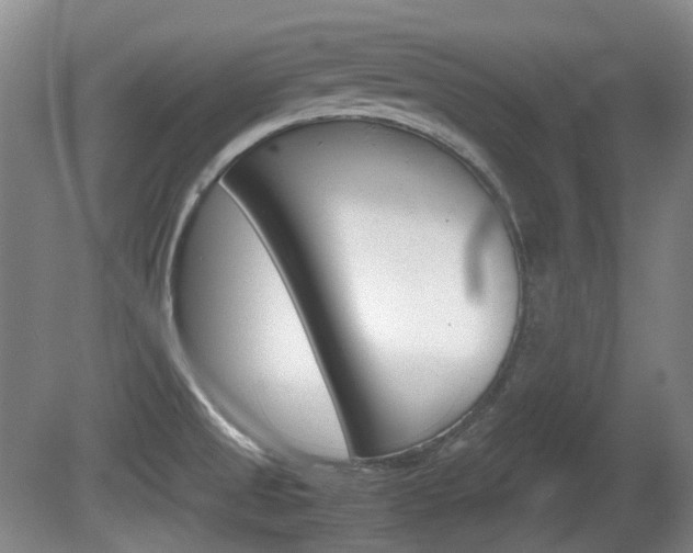 X0000080661525200612150722