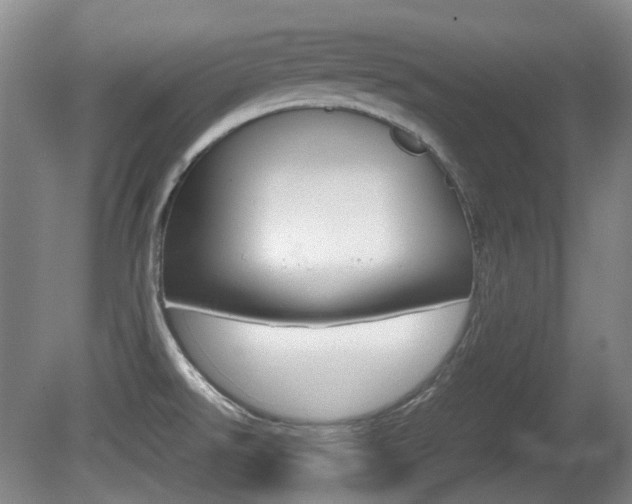 X0000080661526200612150722