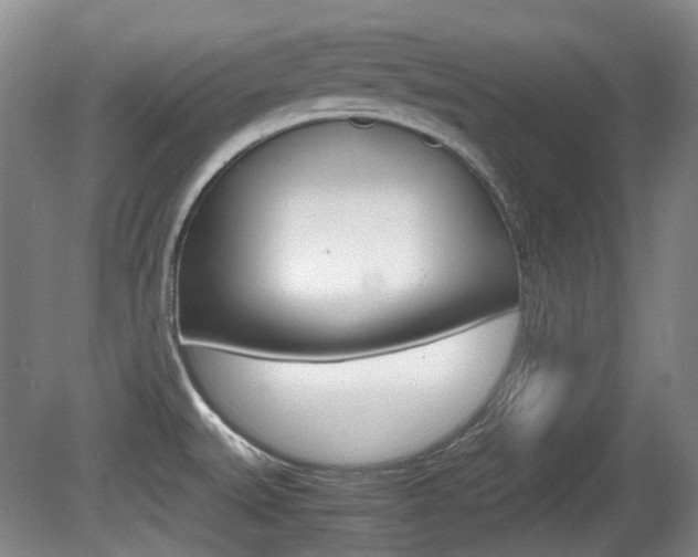X0000080661527200612150722