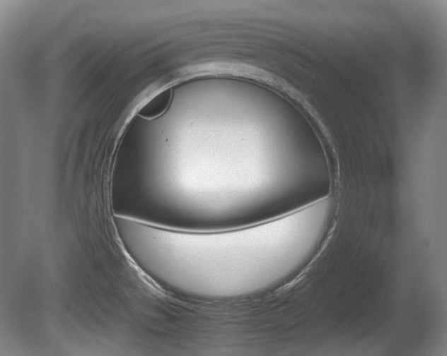X0000080661529200612150722