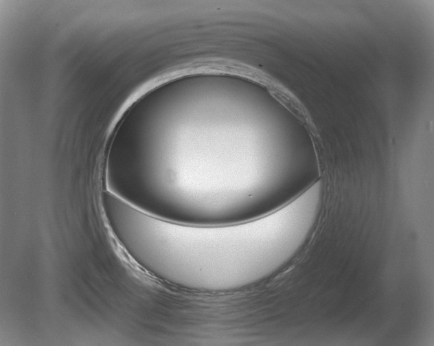 X0000080661530200612150722